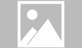 枞阳新闻爆料网最新,聚焦民生热点，传递社会正能量